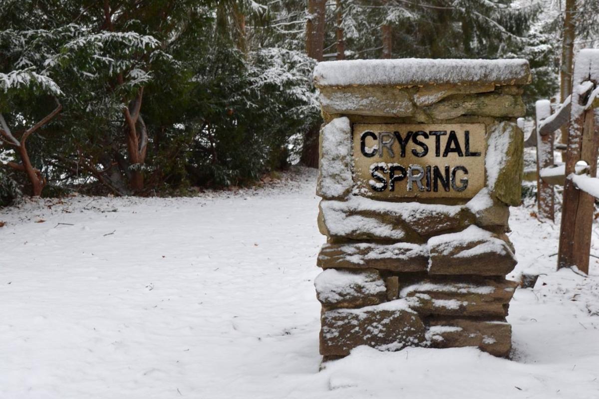 Snow on Crystal Springs